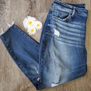 Maurices Distressed Jeans Size XL Short High Rise